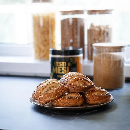 White Nights With Sauna And Grill * Pärnu