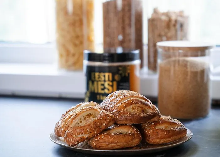 White Nights With Sauna And Grill * Pärnu